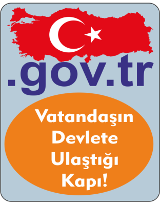 Domain Kaydı (.gov.tr)